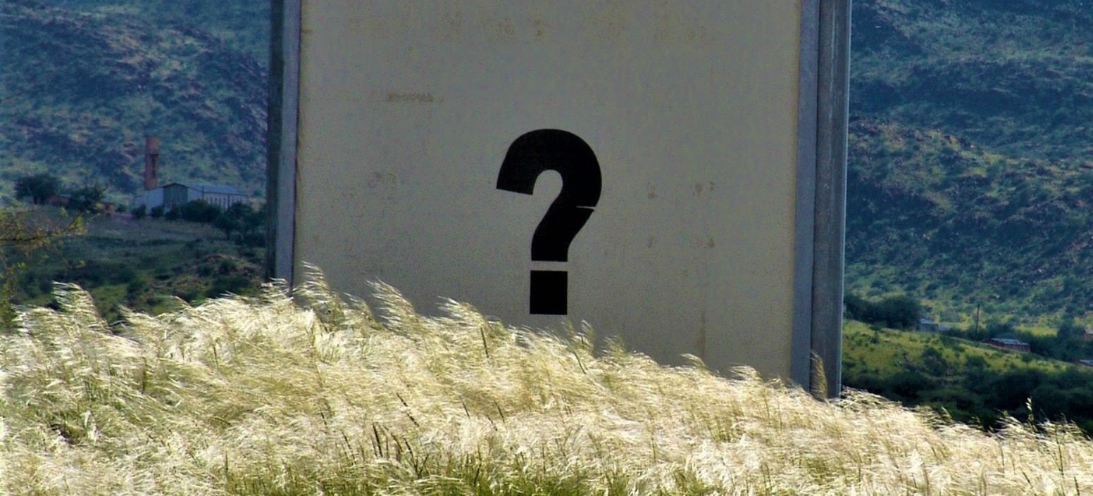 Wall with a question mark with grass in front-also, too, and either.