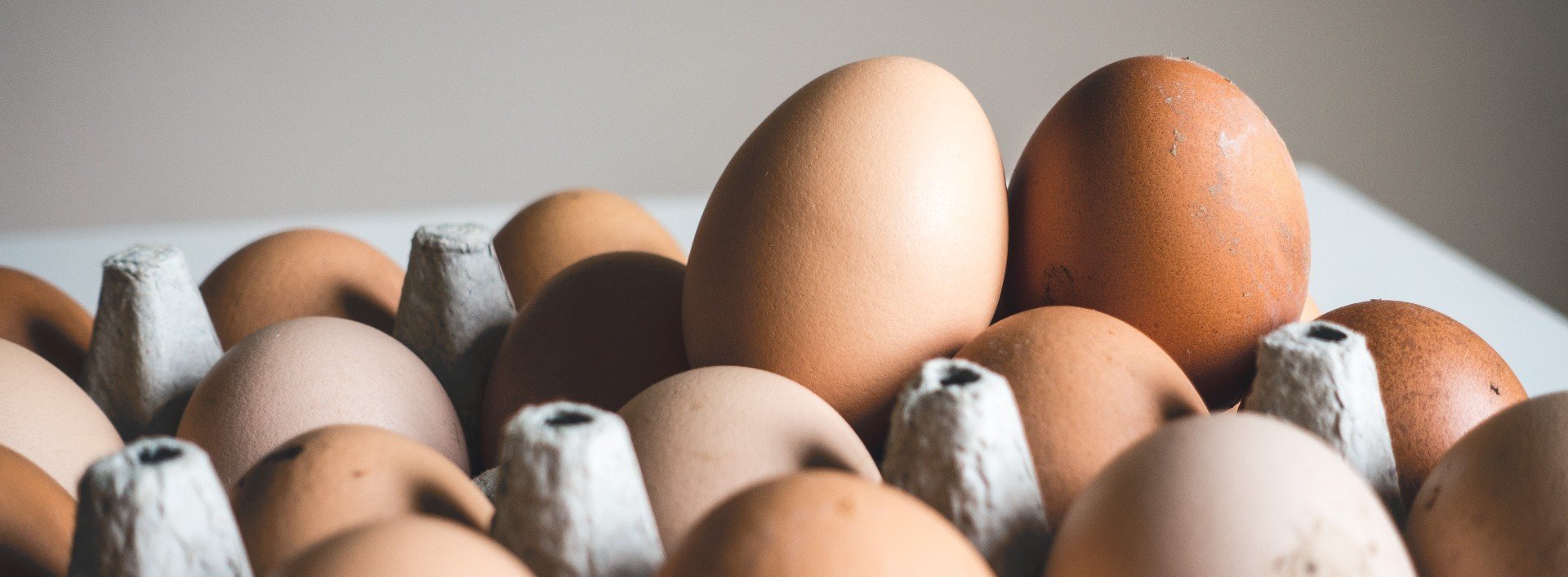 Brown eggs sit in a carton against a plain background. There are many ways to eat eggs!